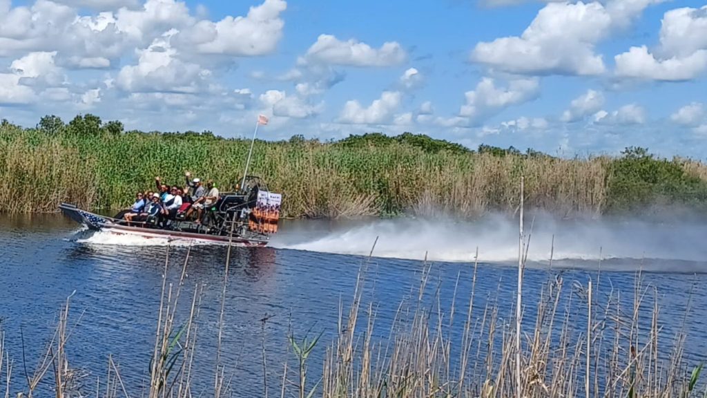 Tour in Action - Florida Love Airboat Tours